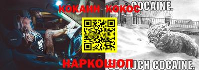 крисы Гагарин