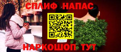 крисы Гагарин