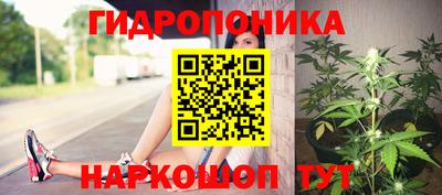 прущая мука Гай