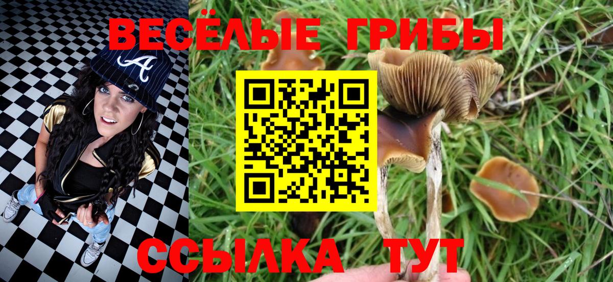 Псилоцибиновые грибы Psilocybine cubensis Орехово-Зуево
