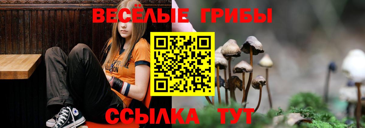 Галлюциногенные грибы ЛСД  где купить наркоту  Орехово-Зуево  Вход с VPN 